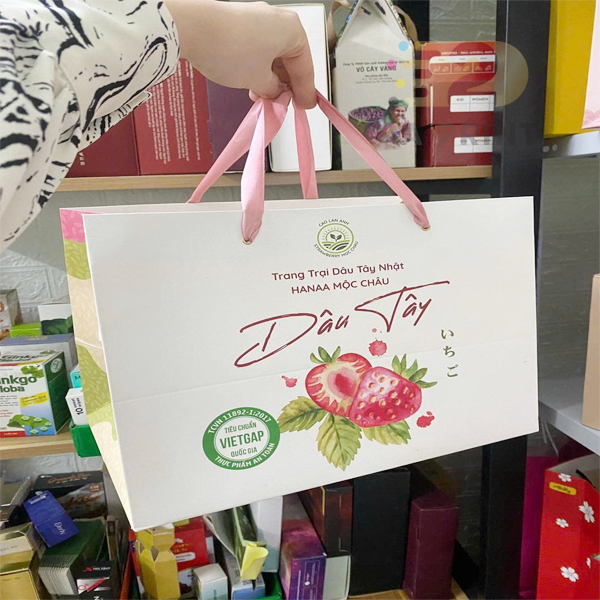 Túi hoa quả dây lụa