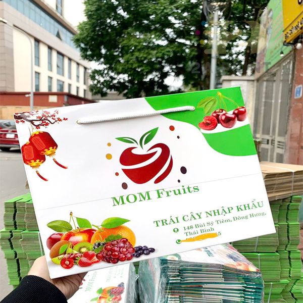 túi hoa quả đựng 4kg